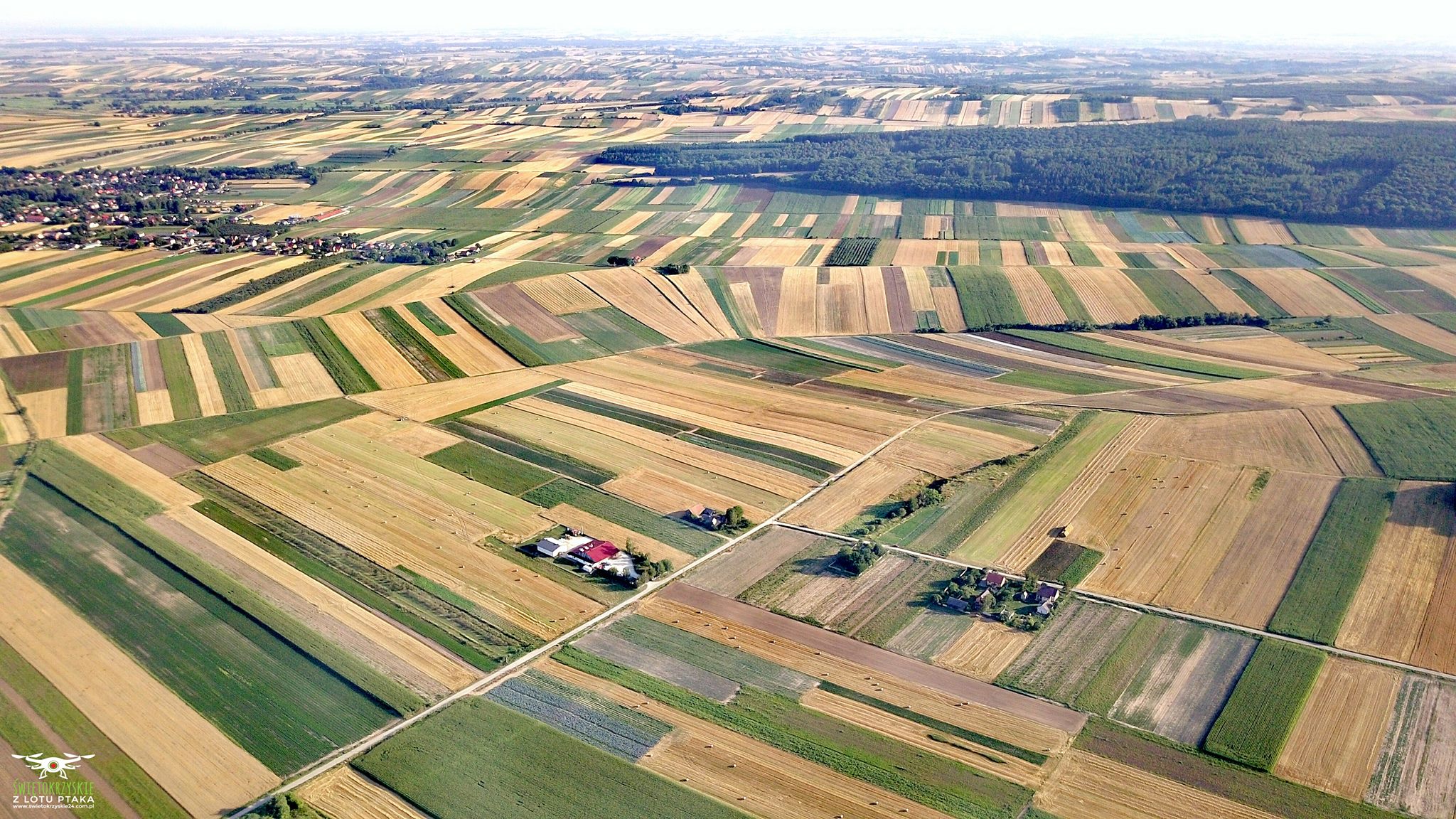 AGROPOLE gamybos gamykla – džiovintos daržovės, žolelės, prieskoniai